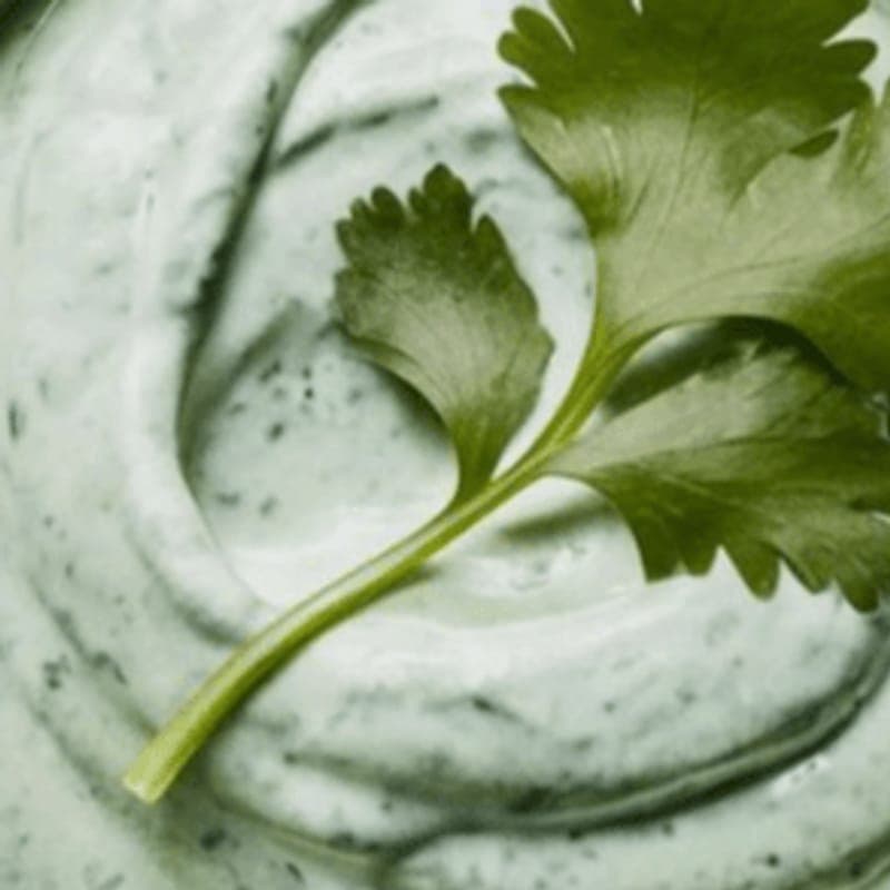 Cilantro Ranch
